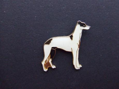 Rashond Greyhound (2)